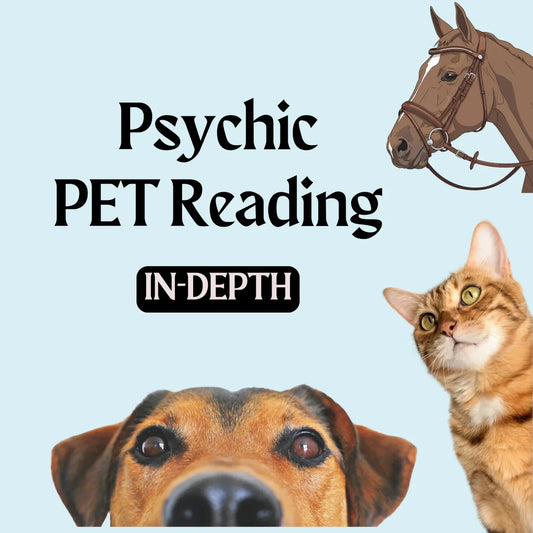 Psychic pet reading concept with close-up dog, cat, horse on light blue background